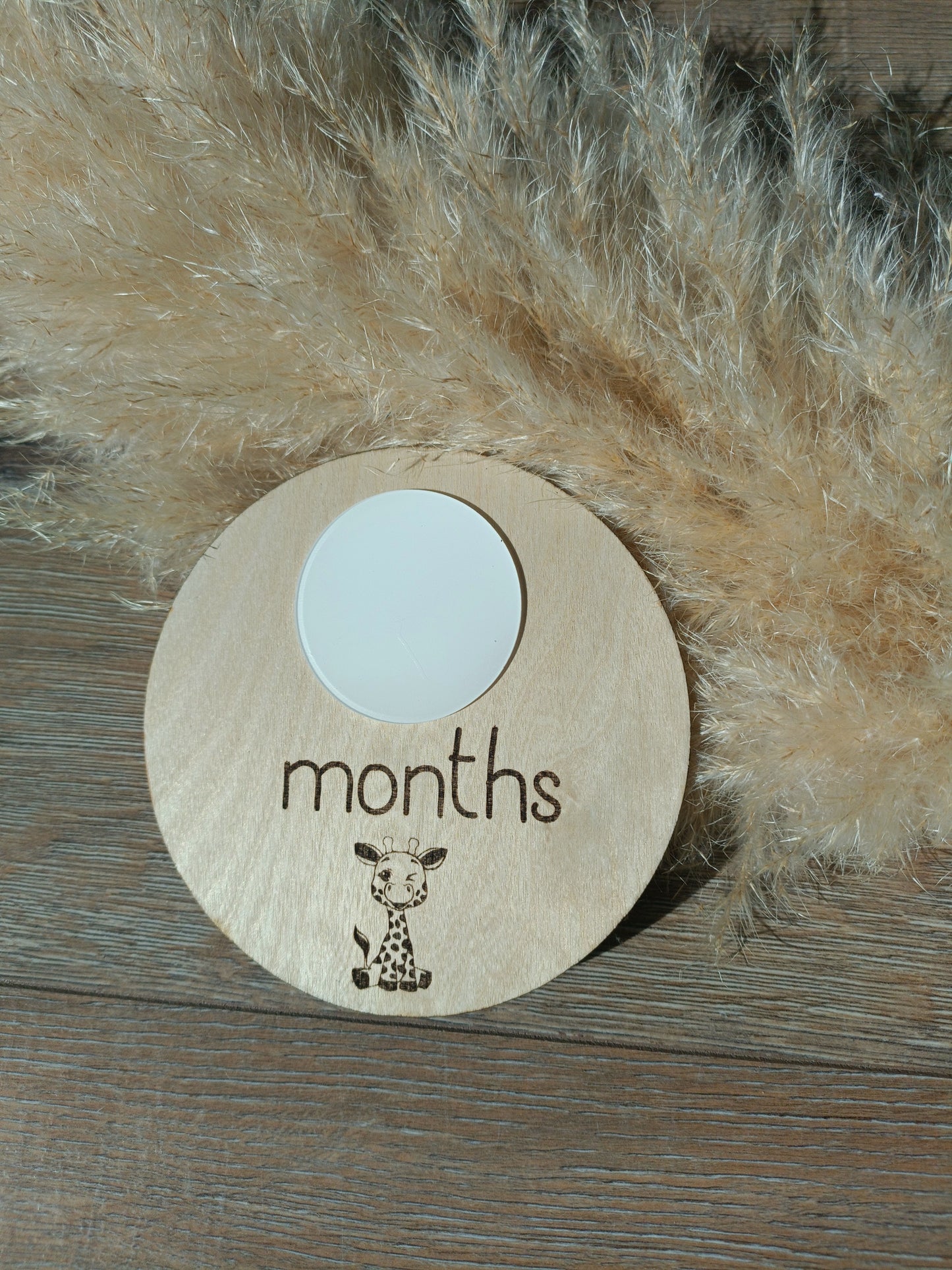 Double sided birth milestone disc