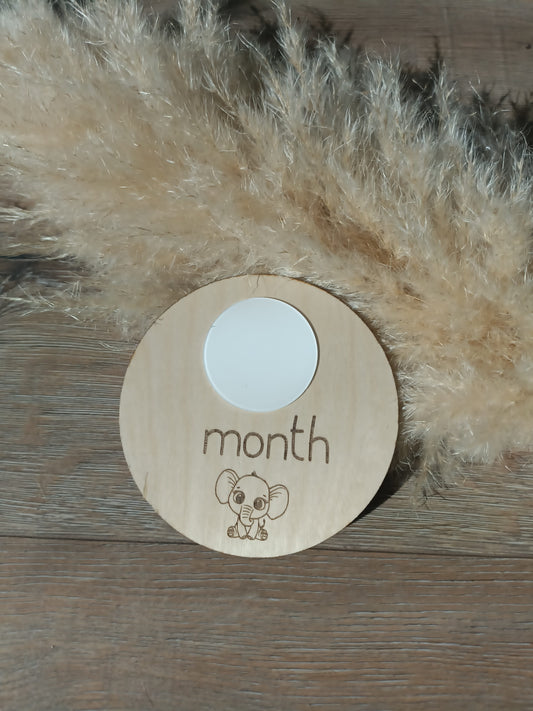 Double sided birth milestone disc